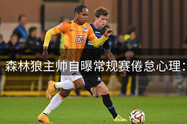森林狼主帅自曝常规赛倦怠心理：曾担忧滑落附加赛区